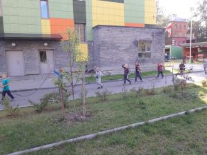 1-1-2018-derevo
