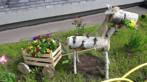 ozelenenie (5)